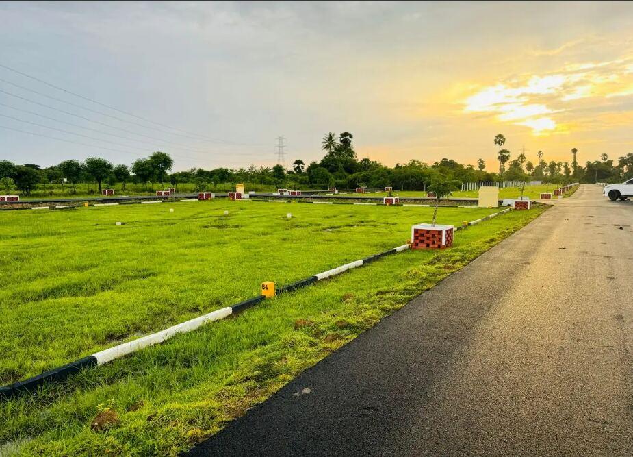 VIP Viruksham — Numbered Plot with Kerb Marking, Singaperumal Koil